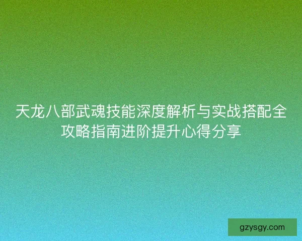 天龙八部武魂技能深度解析与实战搭配全攻略指南进阶提升心得分享