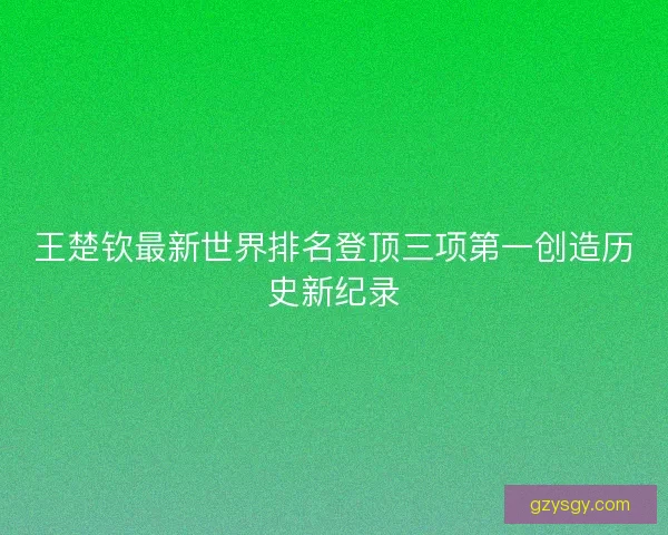 王楚钦最新世界排名登顶三项第一创造历史新纪录