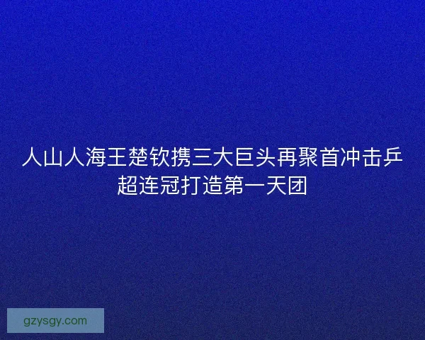 人山人海王楚钦携三大巨头再聚首冲击乒超连冠打造第一天团